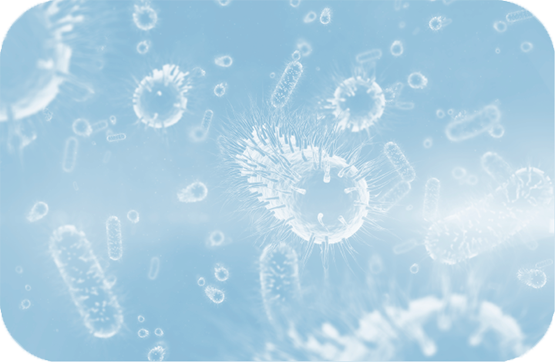 Microscopic blue bacteria