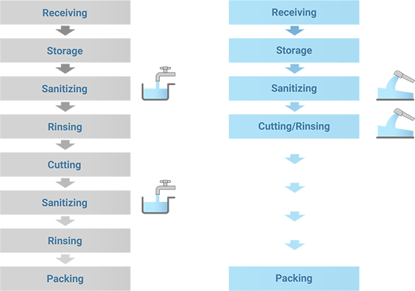 Graph explaining the steps involved for sterilising foods with Sanistar Water and without Sanistar Water